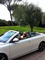 Beijing Escorts - Polina beijing Girls Escort in Beijing - ID-1286